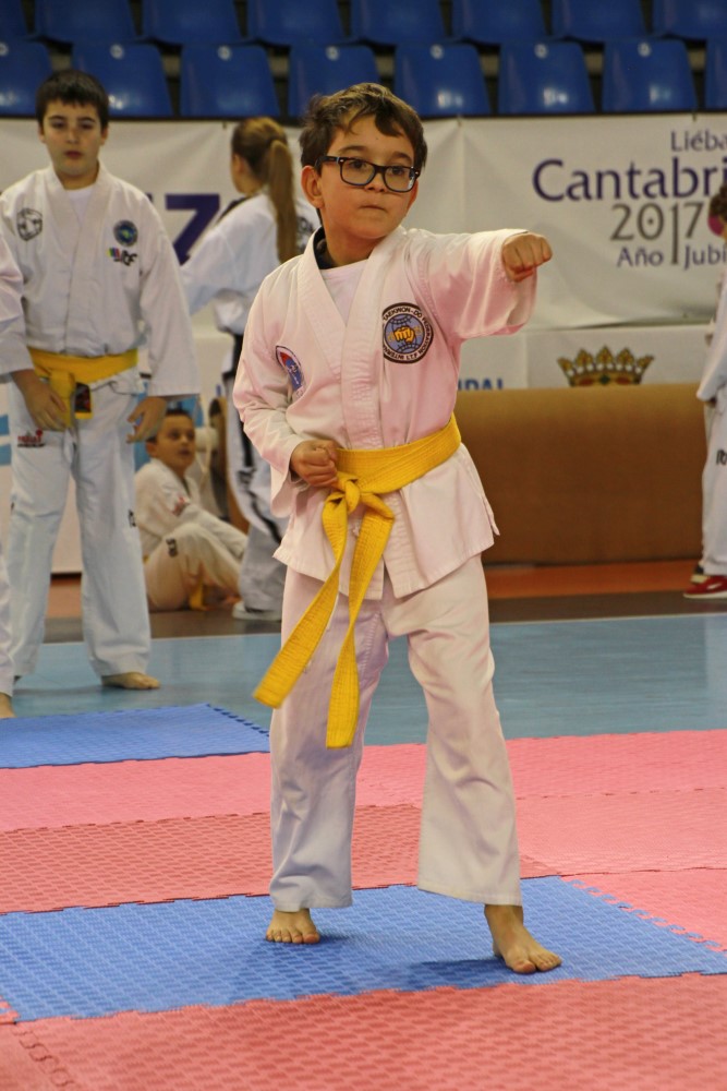 Taekwondo Dic 2016 (184).jpg